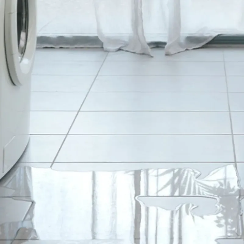 Appliance Leak Cleanup in Queen Creek, AZ